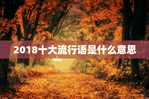 2018十大流行语是什么意思(2018十大流行语是什么意思啊)